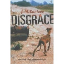 Disgrace (Hardback)