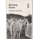 Burning Grass