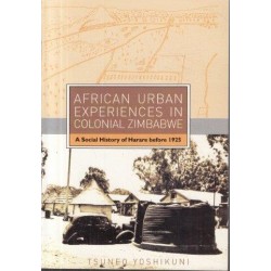 African Urban Experiences In Colonial Zimbabwe