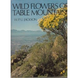 Wild Flowers of Table Mountain