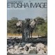 South West Africa: Etosha Image