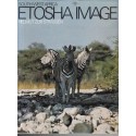 South West Africa: Etosha Image