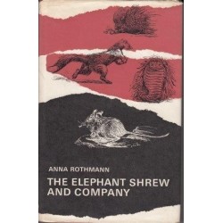 The Elephant Shrew and Company