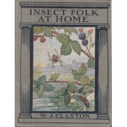 Insect Folk at Home