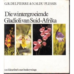 Die Wintergroeiende Gladioli van Suid Afrika