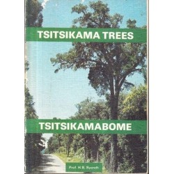 Tsitsikama Trees/Tsitsikamabome