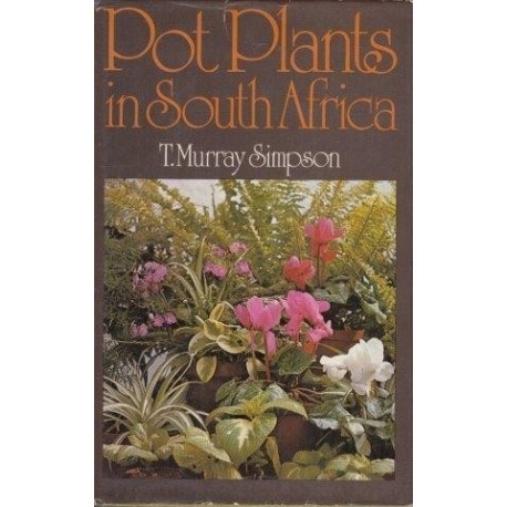 Pot Plants in South Africa