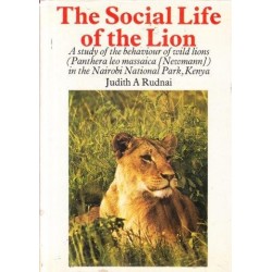 The Social Life of the Lion