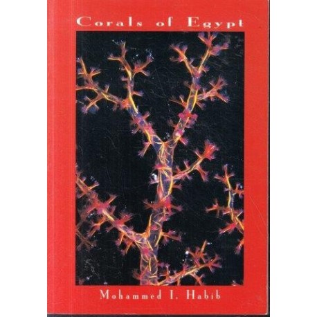 Corals of Egypt