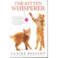 Kitten Whisperer