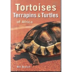 Tortoises, Terrapins & Turtles of Africa