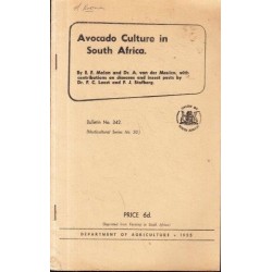 Avocado Culture in South Africa