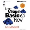 Learn Visual Basic Now: Everything You Need to Teach Yourself the Newest Version of Microsoft Visual Basic