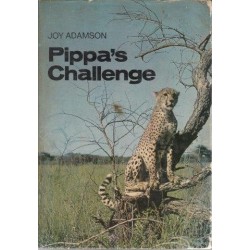 Pippa's Challenge