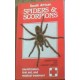 South African Spiders and Scorpions: Identification, First Aid, and Medical Treatment