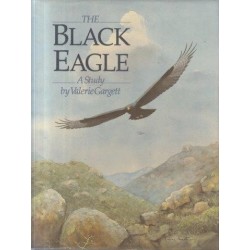 The Black Eagle: A Study