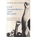 Civil Disobedience and Beyond: Law, Resistance and Religion in South Africa