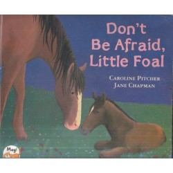 Don't Be Afraid, Little Foal