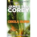 Cibola Burn  (Expanse 4)