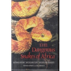 The Dangerous Snakes of South Africa