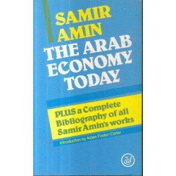 The Arab Economy Today