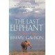 The Last Elephant