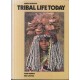 South African Tribal Life Today