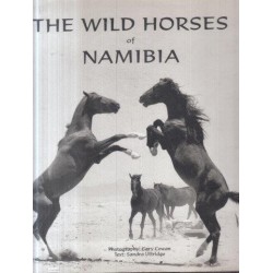 The Wild Horses of Namibia