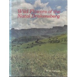 Wild Flowers of the Natal Drakensberg