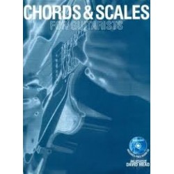 Chords And Scales For Guitarists