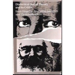 Dialectical Social Theory And Its Critics