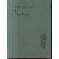 Wild Flowers of the Cape