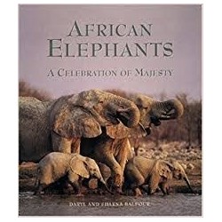 African Elephants - A Celebration Of Majesty