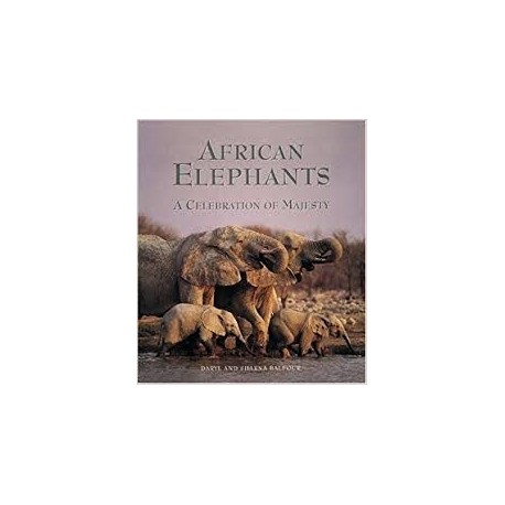 African Elephants - A Celebration Of Majesty